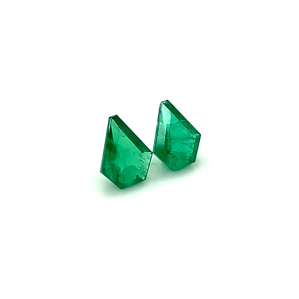 
                  
                    9.00x7.20x0.00mm Fancy Cut Emerald (2 pc 2.55 ct)
                  
                