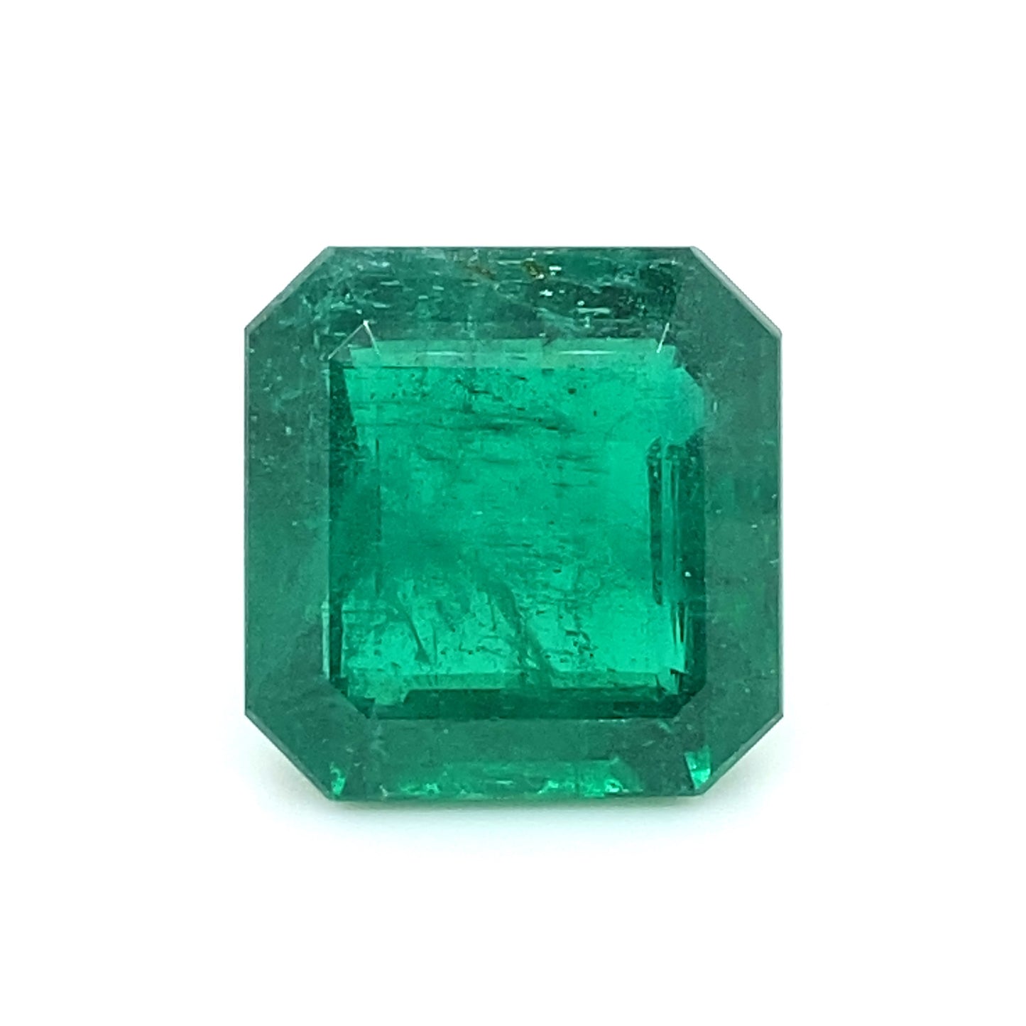 
                  
                    16.03x15.64x9.90mm Octagon Emerald (1 pc 19.45 ct)
                  
                