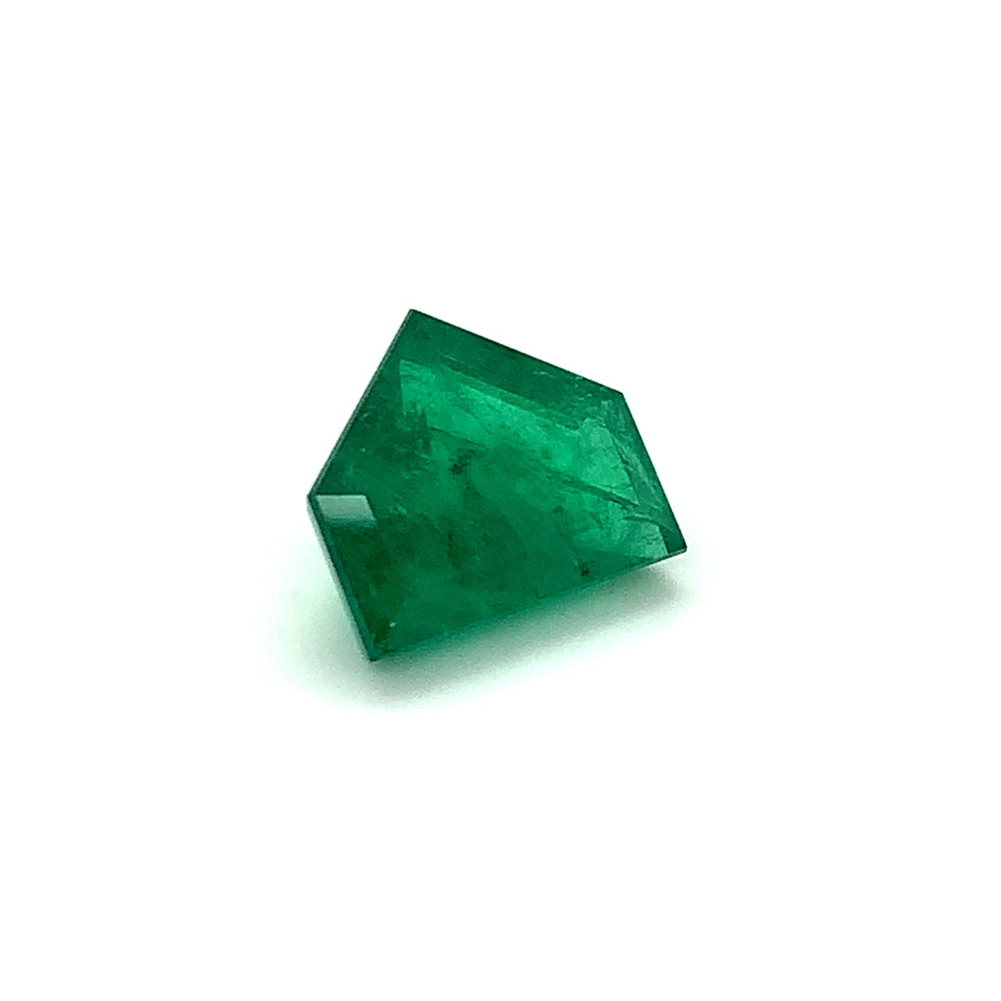 
                  
                    14.87x16.57x9.05mm Fancy Cut Emerald (1 pc 13.10 ct)
                  
                