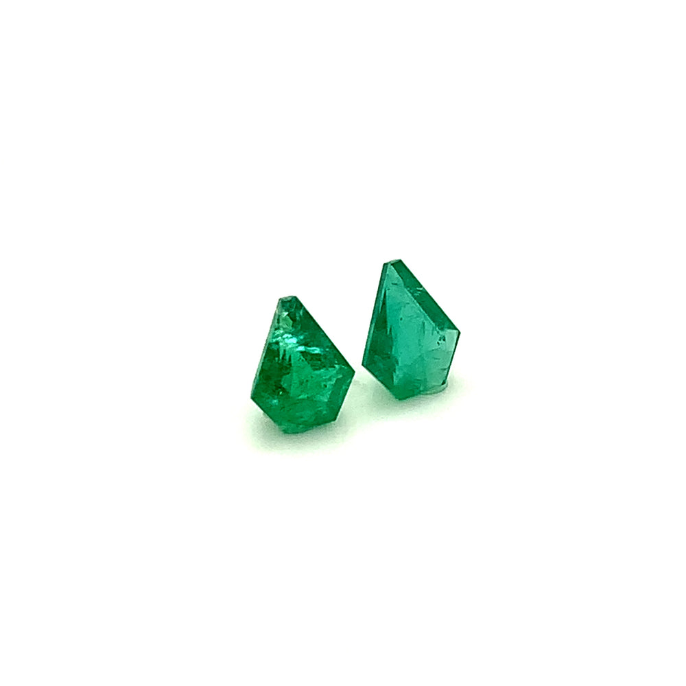 
                  
                    9.20x7.20x0.00mm Fancy Cut Emerald (2 pc 2.70 ct)
                  
                
