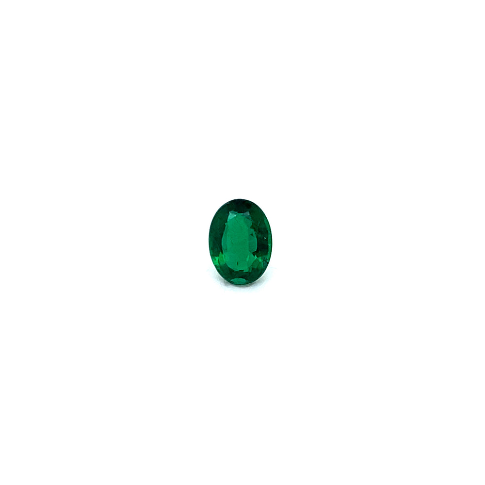 
                  
                    7.96x5.94x3.41mm Oval Emerald (1 pc 1.04 ct)
                  
                