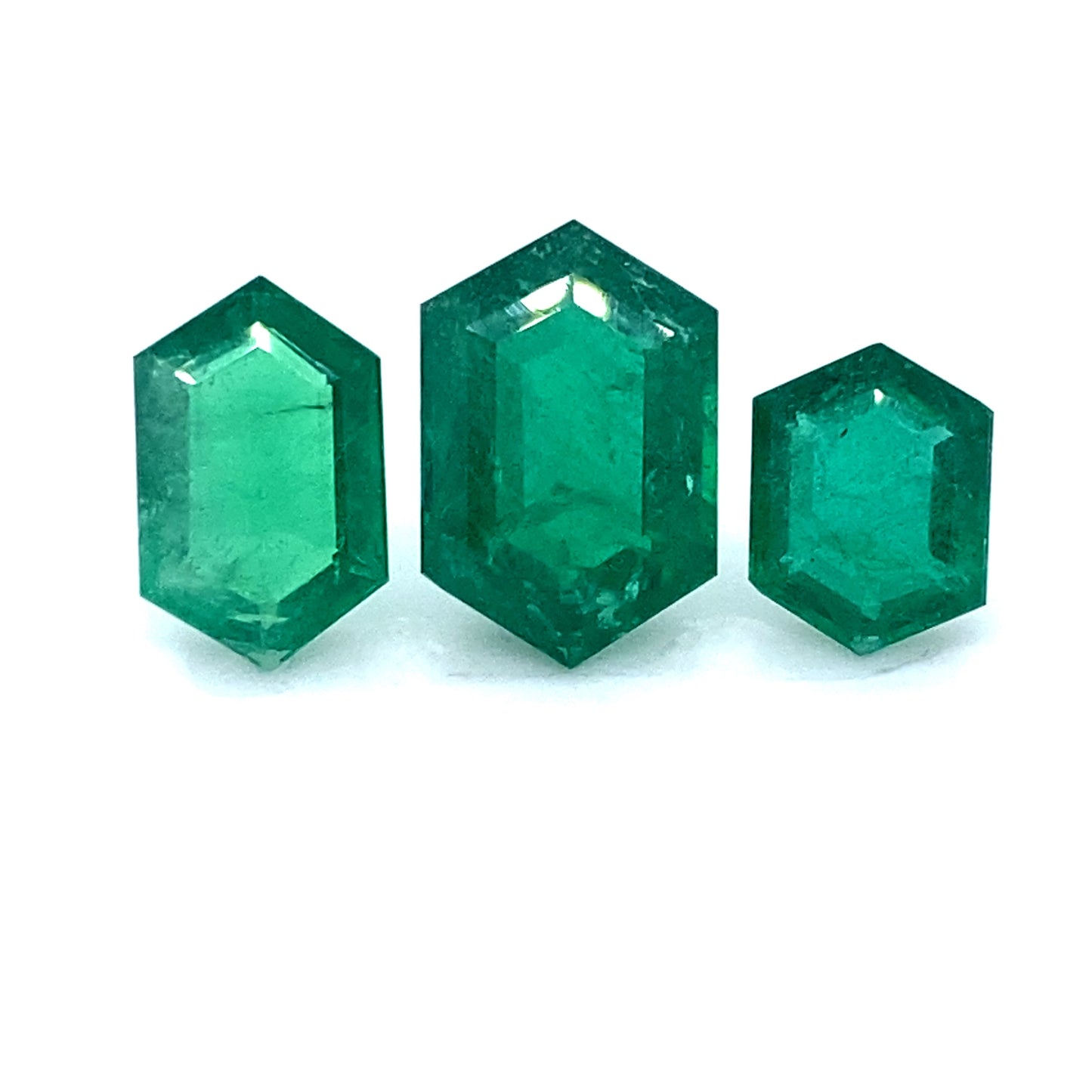 
                  
                    13.00x8.00x4.10mm Hexagonal Emerald (2 pc 8.92 ct)
                  
                