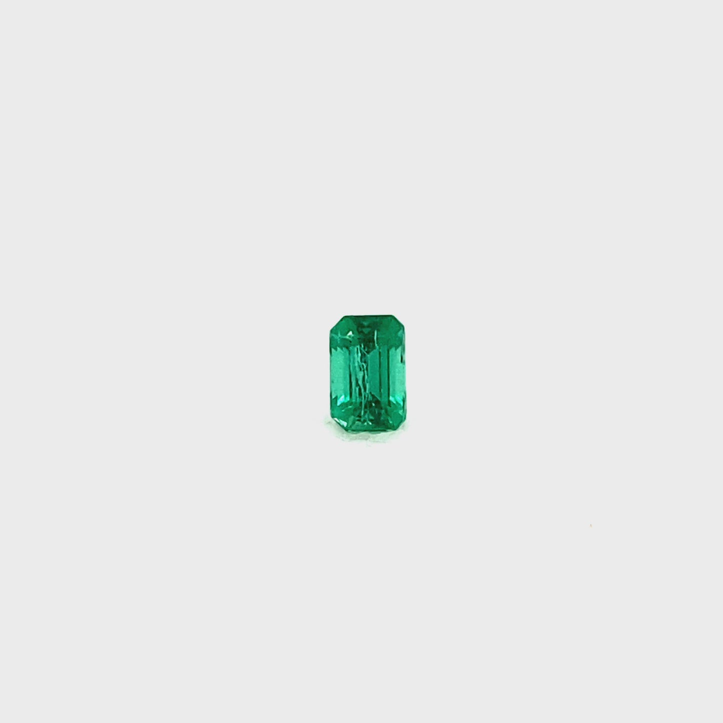 
                  
                    Load and play video in Gallery viewer, 5.85x3.89x3.50mm Octagon Emerald (1 pc 0.58 ct)
                  
                