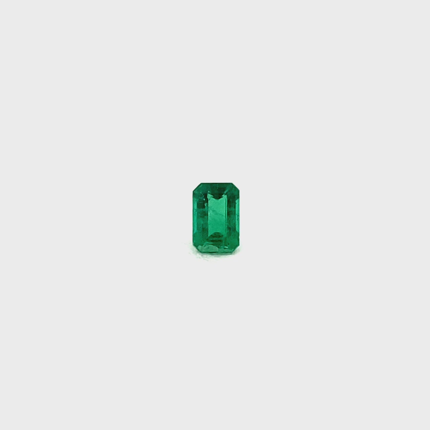 
                  
                    Load and play video in Gallery viewer, 5.95x4.00x2.80mm Octagon Emerald (1 pc 0.51 ct)
                  
                