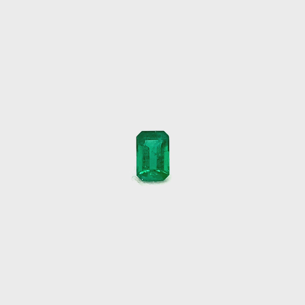 
                  
                    Load and play video in Gallery viewer, 6.00x3.97x2.86mm Octagon Emerald (1 pc 0.50 ct)
                  
                